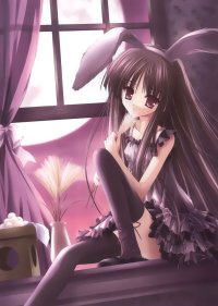 BUY NEW tinkerbell - 119756 Premium Anime Print Poster
